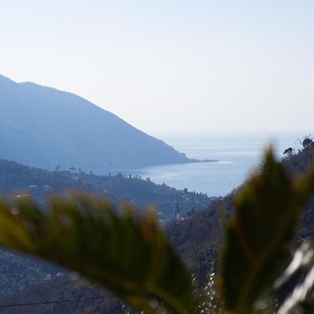 Villa Le Macine Molino Nuovo  Dış mekan fotoğraf