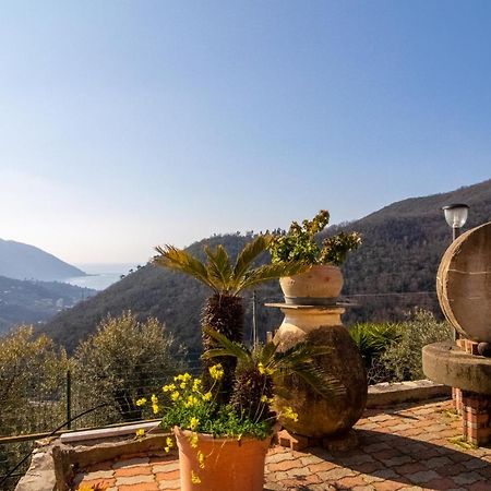 Villa Le Macine Molino Nuovo  Dış mekan fotoğraf