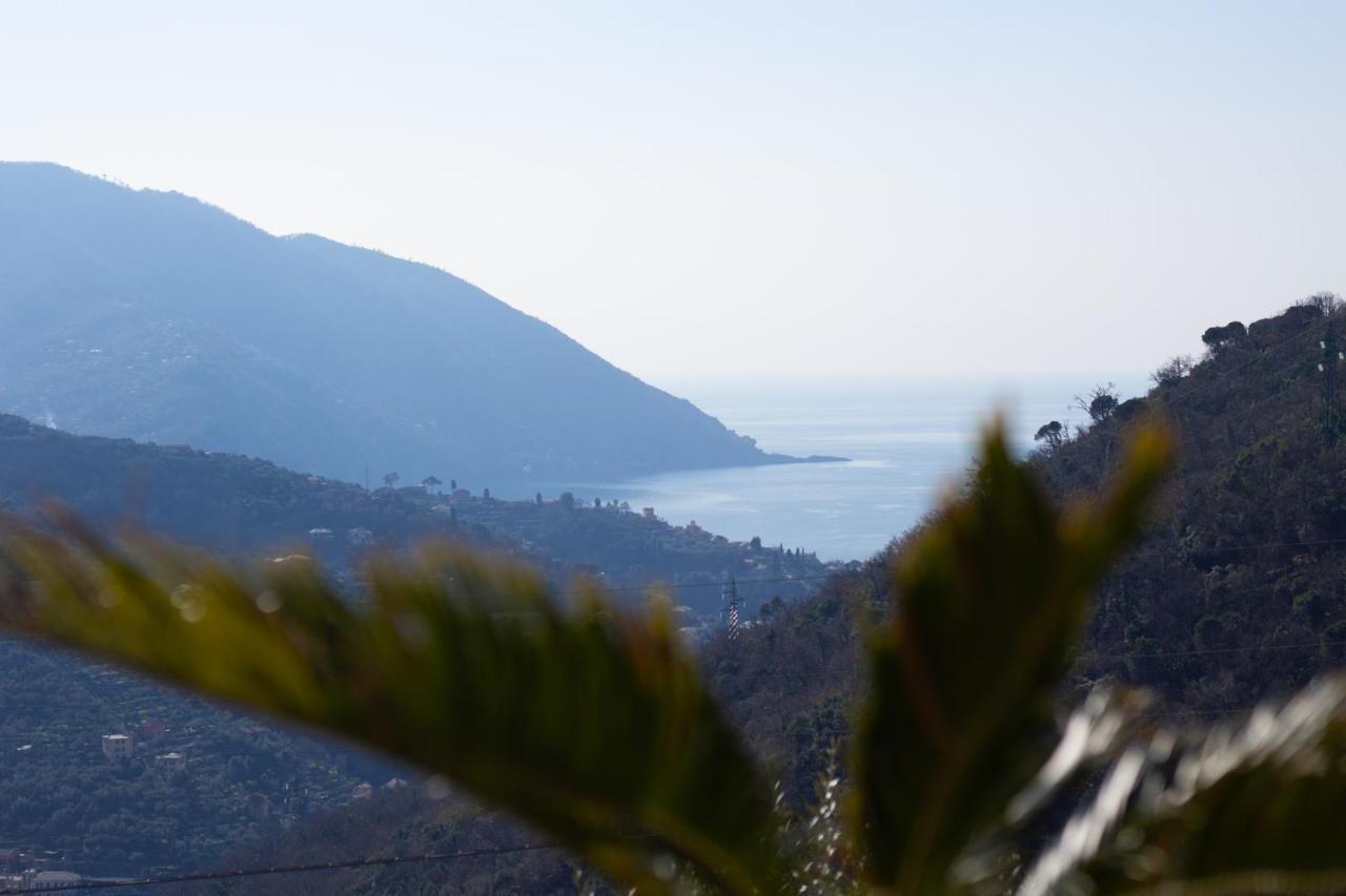 Villa Le Macine Molino Nuovo  Dış mekan fotoğraf